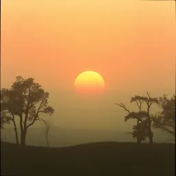 Shine Through the Night
