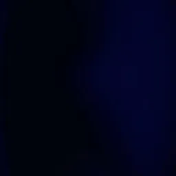 Lost in the Shadows