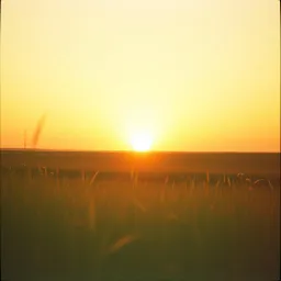 Healing a heart