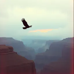 Red Eagles visions