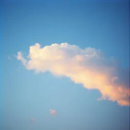 Whispers on the Wind