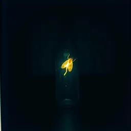 Chasing Fireflies