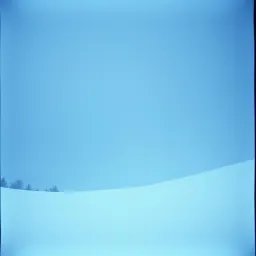 “Cold On Purpose”