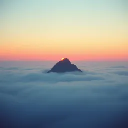 Standing Tall Alone