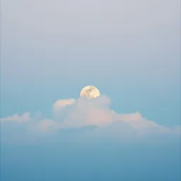 Sweet Dreams, Little Darling