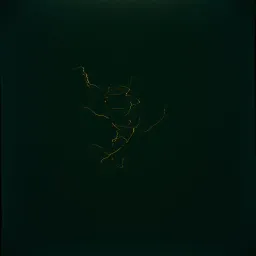 Free from darkness