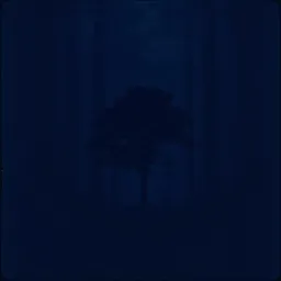 Company of Shadows