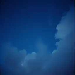 Moonlit Dreams