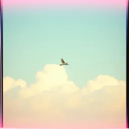 Fly as You Are