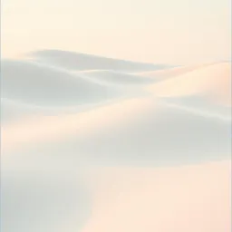 Balance Amidst the Chaos
