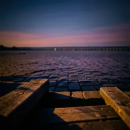 Before the Dark