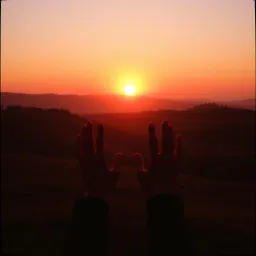 Hands Together