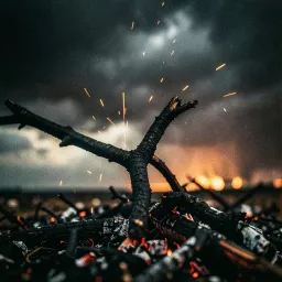 Rise Again From Ashes