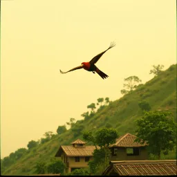 Kumul blong West Morobe