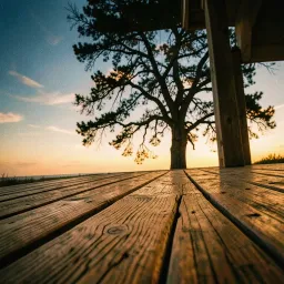 The choice to stay