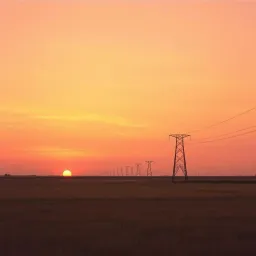 Wichita Wire Dreamer