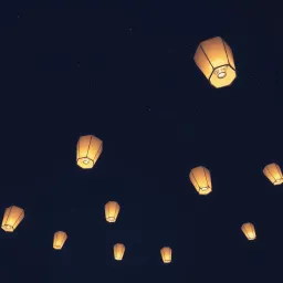 Echoes In The Dark