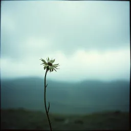 Broken part of me