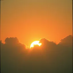 Tomorrow Will Shine