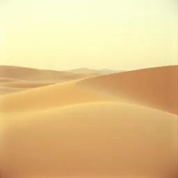 The line in the sand.