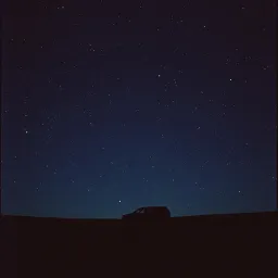 Stars