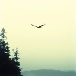 High Above and Down Below