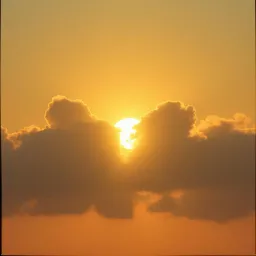 Blessed Hope