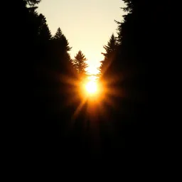 Chasing the Sun: A Daughter's Promise