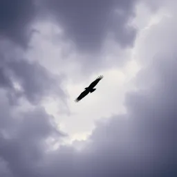 Death makes angels of us all