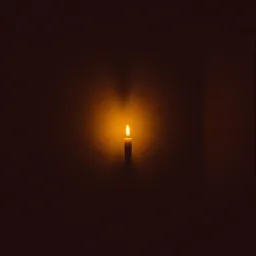 Shadow in My Silence