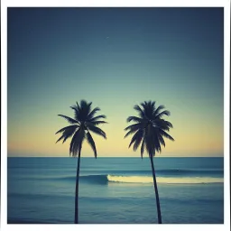 Holy Waves