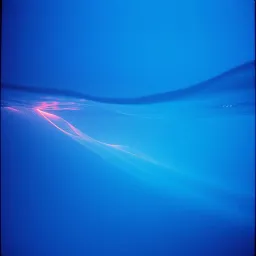 The sea