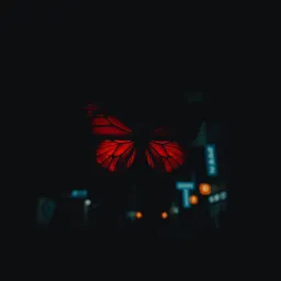 【雹】-ヒョウ-