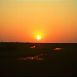 Edisto Dreams