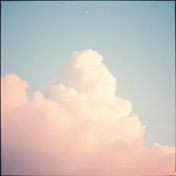 Lost in this dream
