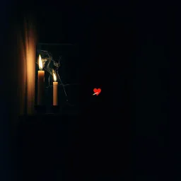 Poisoned Flames