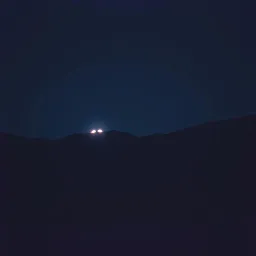 Night Fury