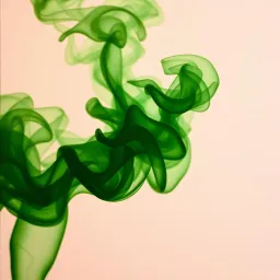 Higher than the Sky