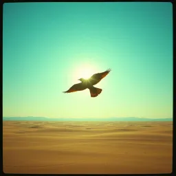Wings Unbound