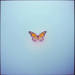Noa, vois la vie en couleur