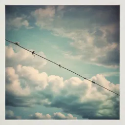 My Ropes