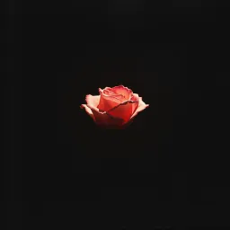 Veil of Crimson Dusk