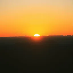 Rise from Shadows