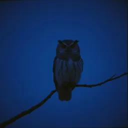 L'ombre du temps