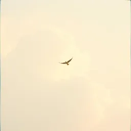 Chasing the air