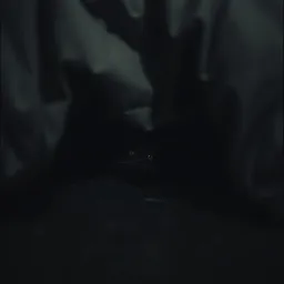 Under the Bed