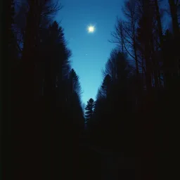 Az Árva Szív Csillaga