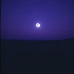 Echoes in the Dark