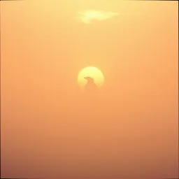 Braving the Unknown