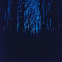 Las sombras